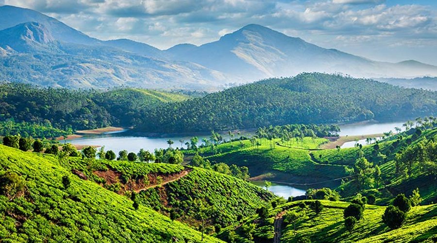 Wild Animals of Kerala: A Marvelous Journey into Nature's Bounty-0
