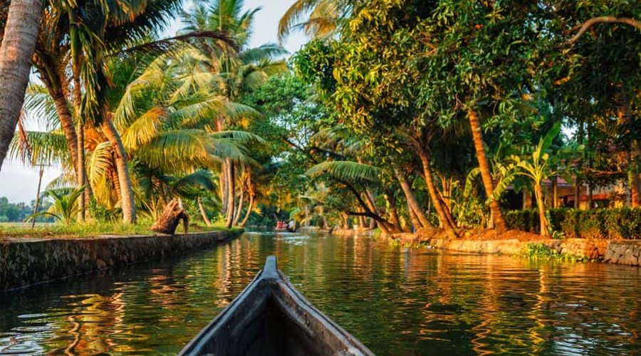 Wild Animals of Kerala: A Marvelous Journey into Nature's Bounty-2