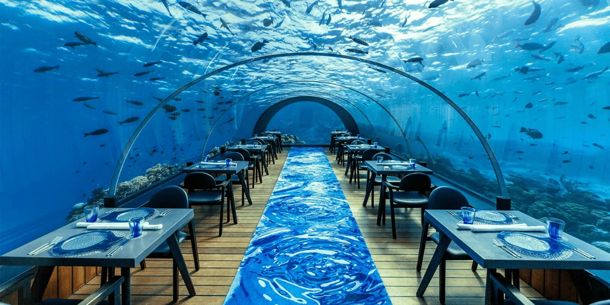 6 Underwater Restaurants in the Maldives you should definitely visit