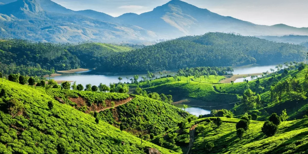 20 Things to Know Before You Visit Kerala