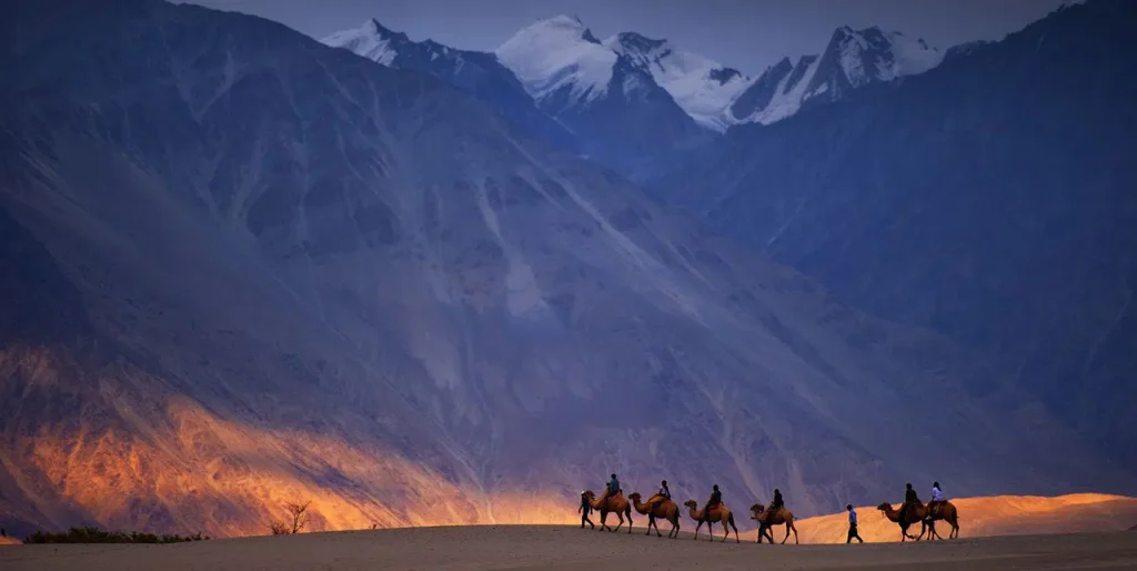 Nubra Valley Travel Guide To Leh Ladakh