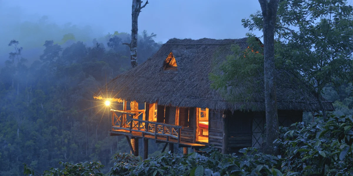 10 Best Tree Houses in Kerala That Are Perfect for An Intimate Nature Date In 2021 min