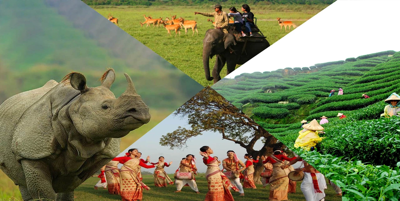 Travel Guide To Assam