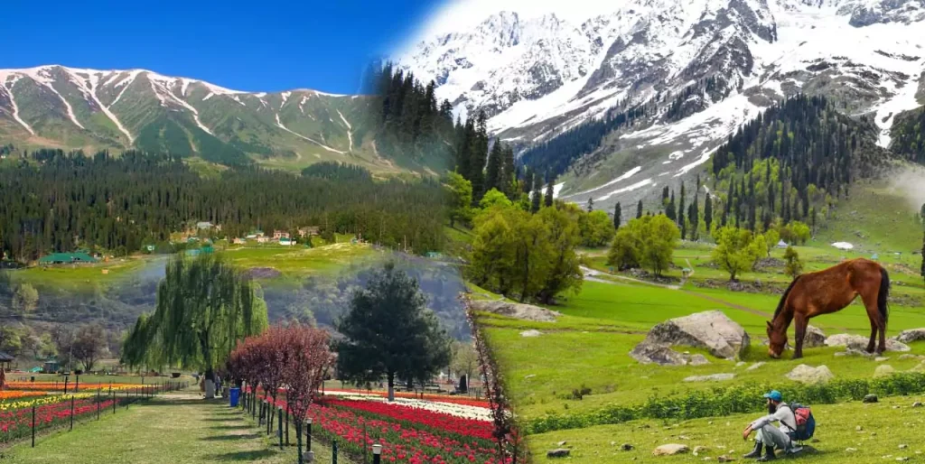 Kashmir tour packages from Kerala