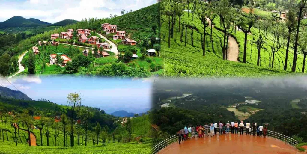 bangalore to ooty mysore tour package