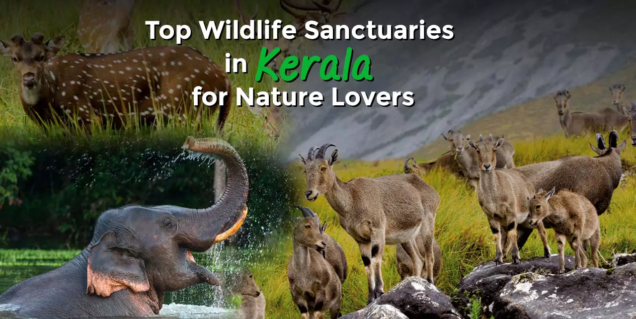 wildlife sanctuary in Kerala list