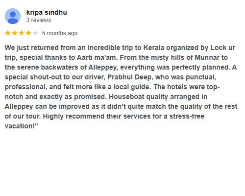 Google Review 4