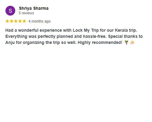 Google Review 10