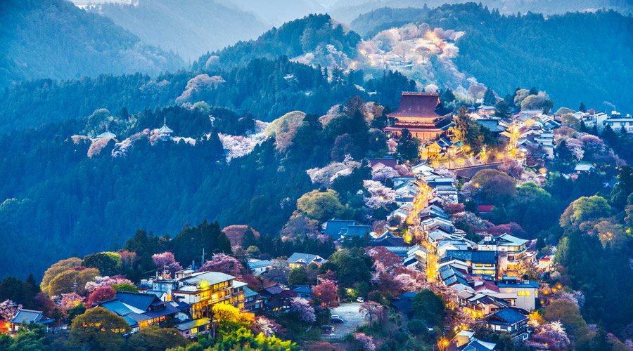 Darjeeling Gangtok Group Delight-1