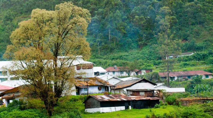 Ooty Kodaikanal Hill Group Tour-1