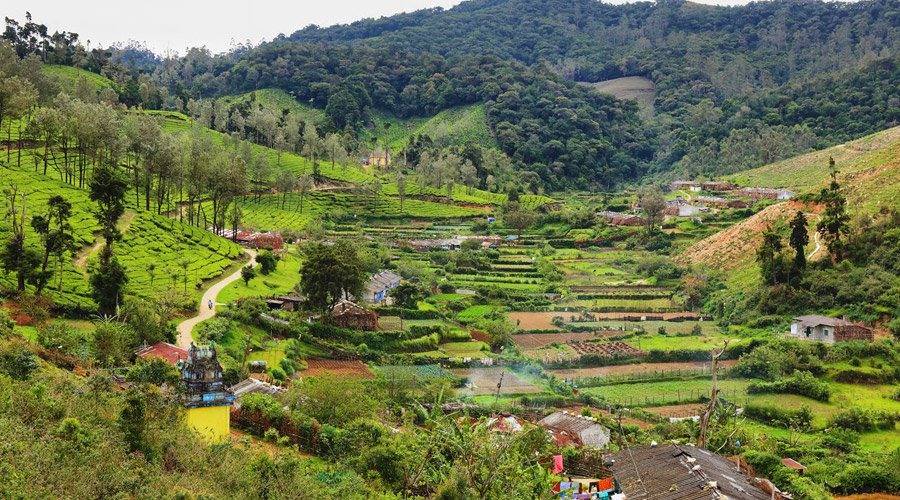 Ooty Kodaikanal Hill Group Tour-2