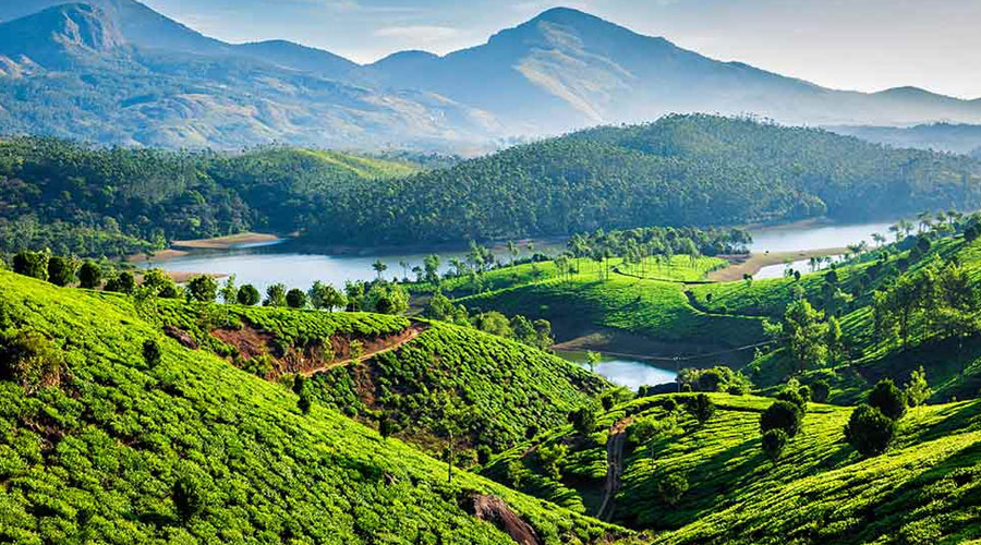 Kerala Hill Station Delight