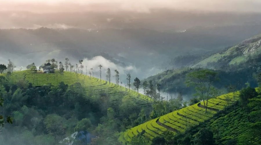 Kerala Hill Station Delight-2