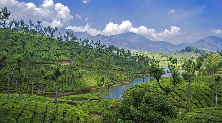 Kerala Nature & Wildlife Tour-2