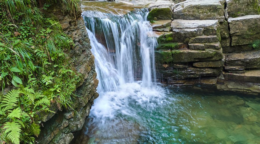 Meghalaya Budget Delight-2