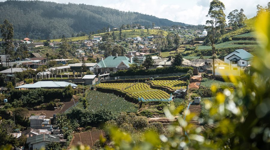 Ooty Classic Hill Station Tour-1