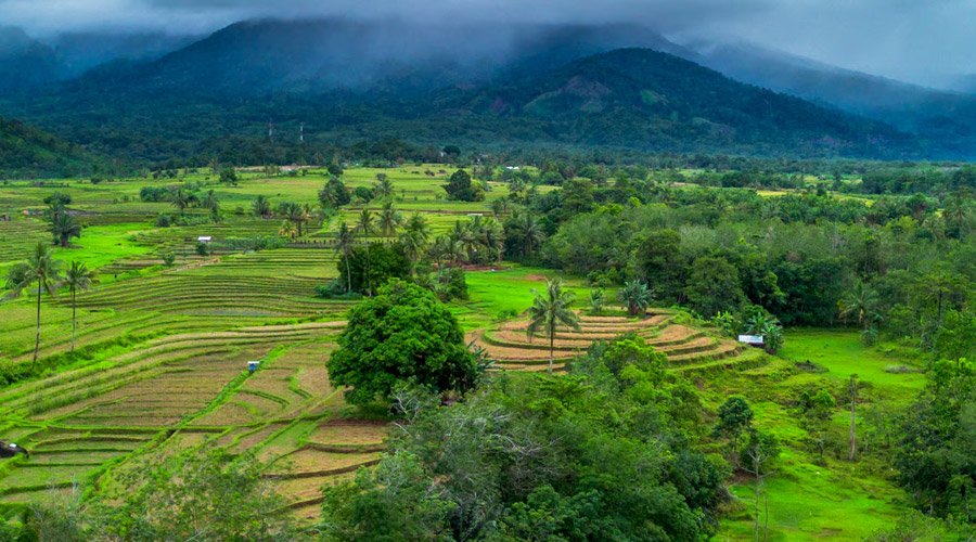 Ooty Nature & Monsoon Bliss Package-2