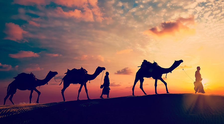 Rajasthan Family Holiday-2