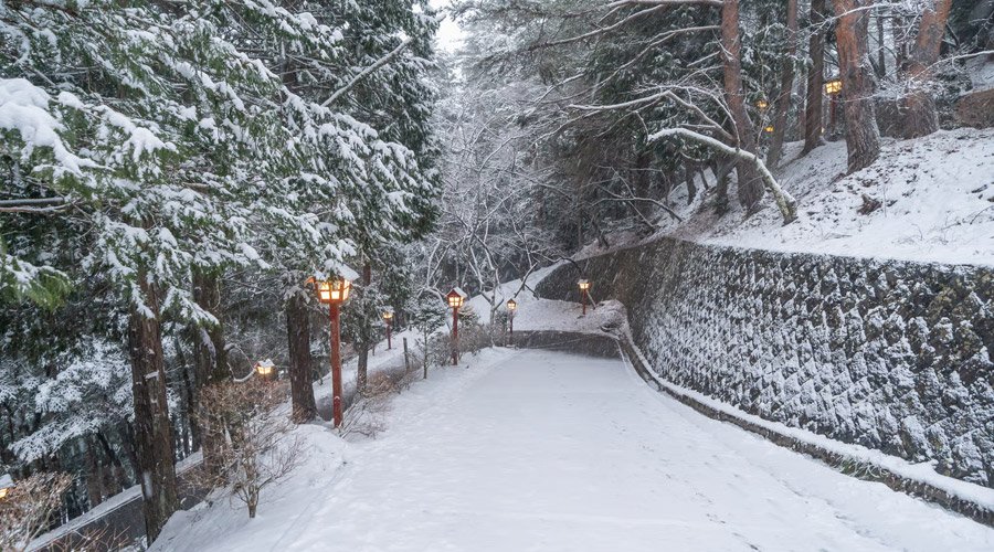 Shimla Luxury Hill Retreat-1