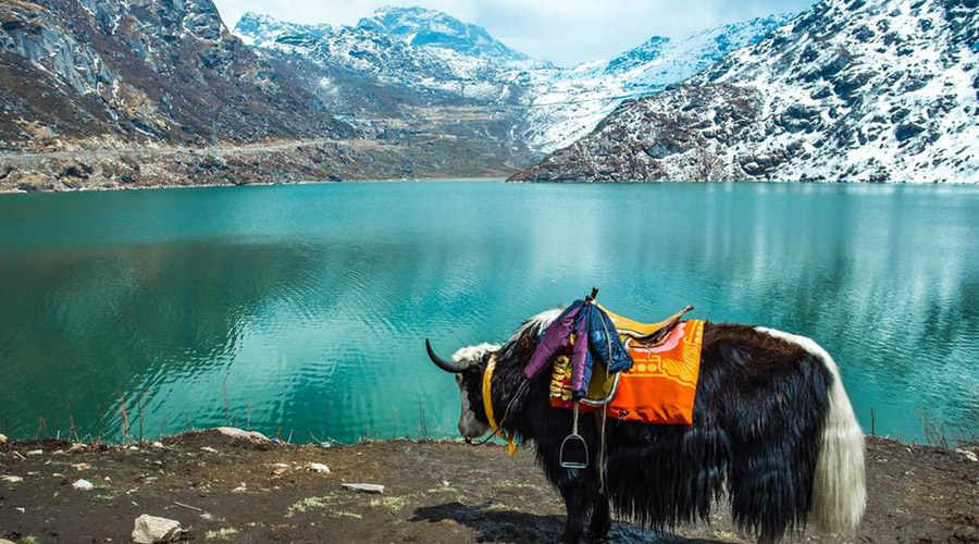 Sikkim Family Nature Tour