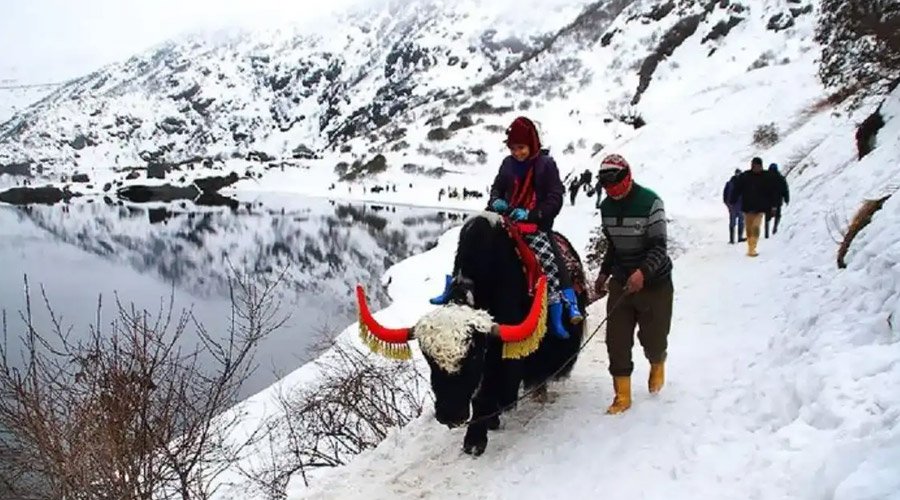 Sikkim Honeymoon Paradise-2