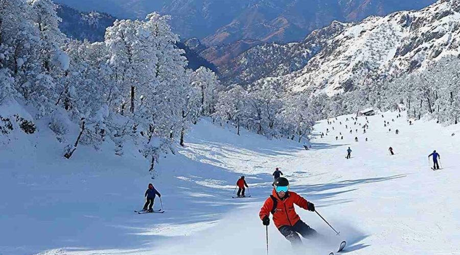 Auli Snow & Ski Tour-2