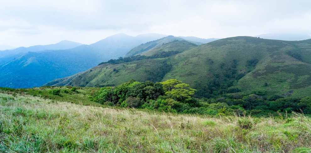 Brahmagiri hills 1