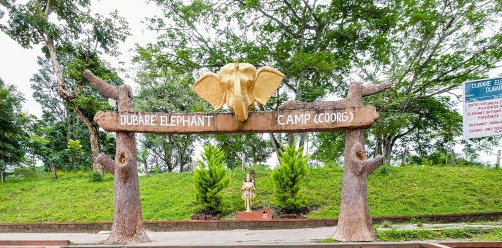 Dubare Elephant Camp