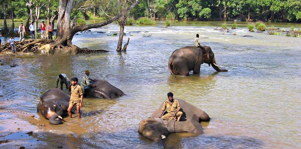 Dubare Reserve Forest,