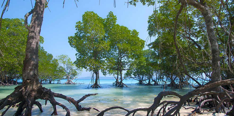 Havelock Island