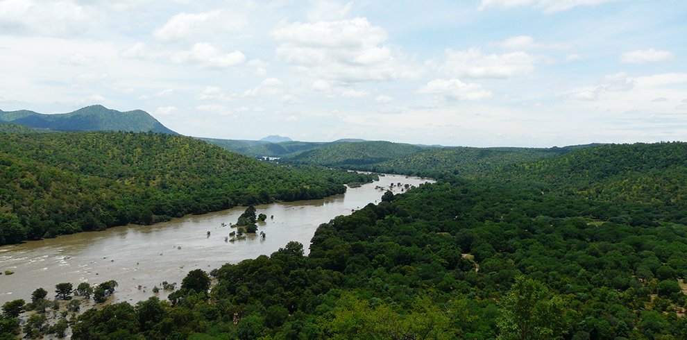 Kaveri River