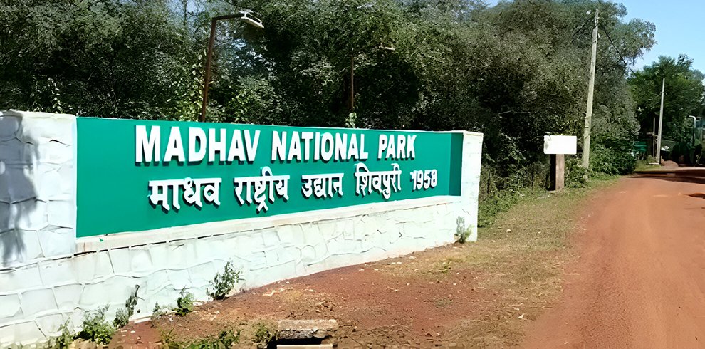 Madhav national park