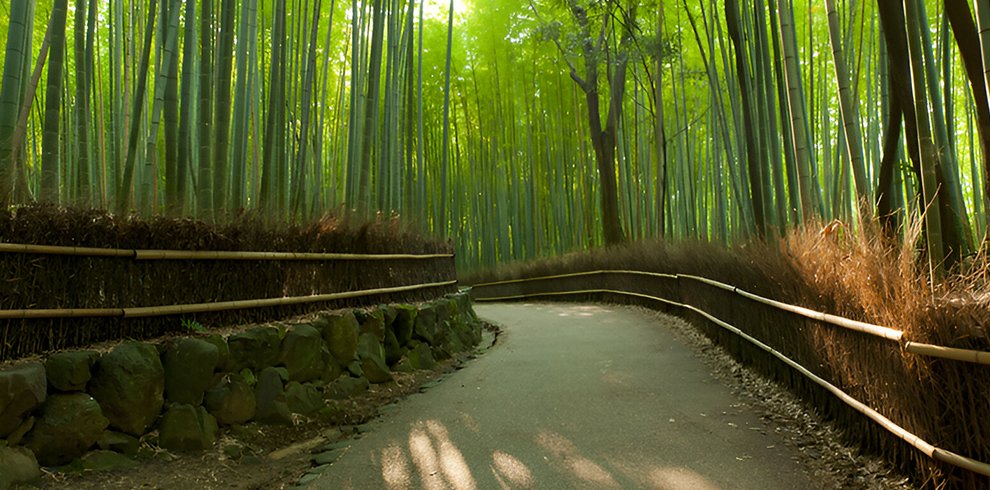 Arashiyama Bamboo Grove,