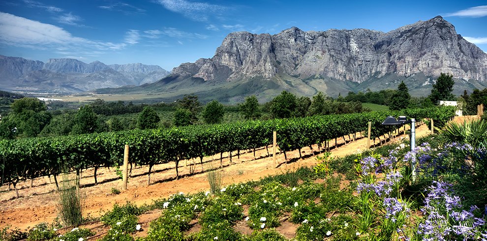 Cape Winelands