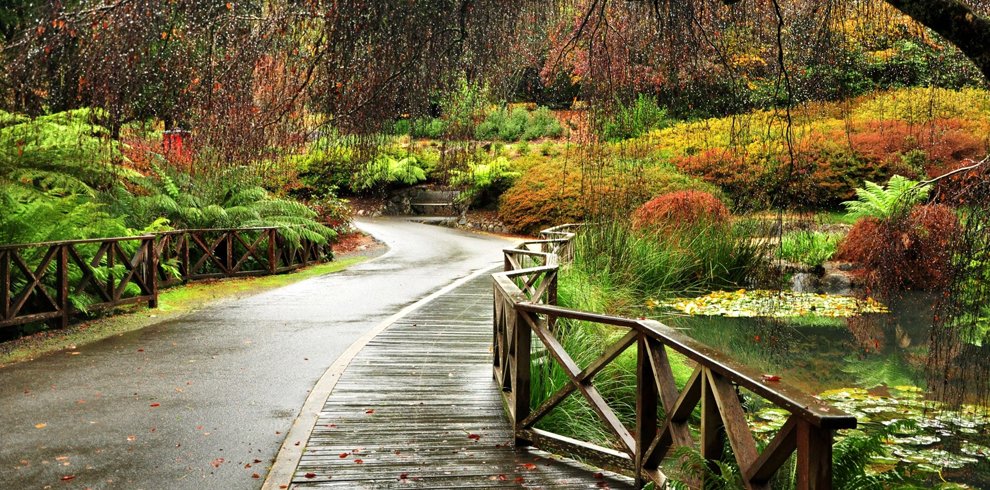 Dandenong Ranges