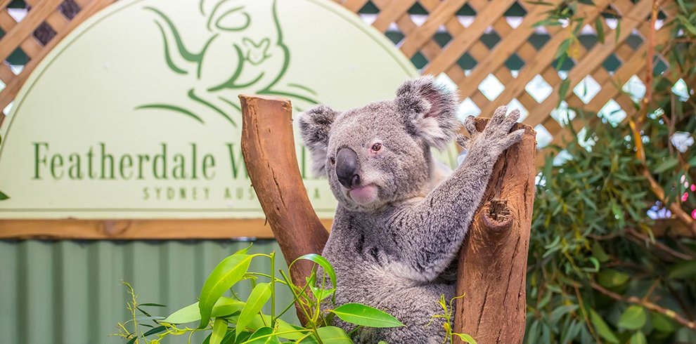 Featherdale Wildlife Park