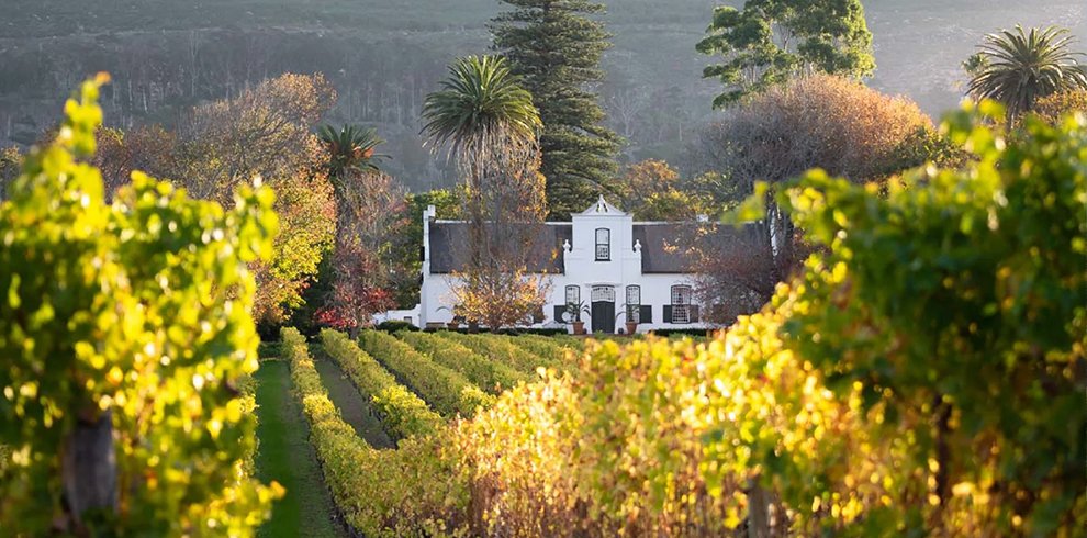 Groot Constantia Wine Estate