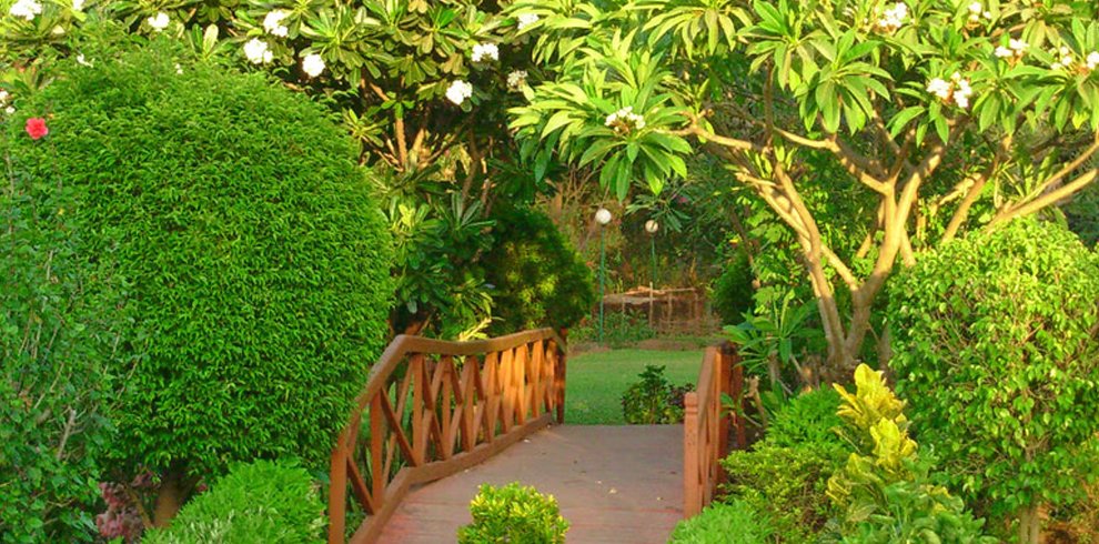 Hirwa Van Garden