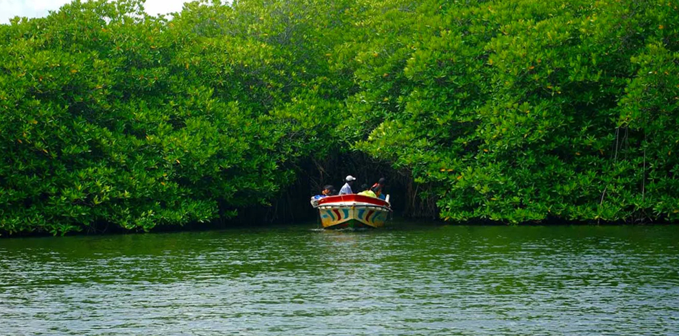 Madhu River