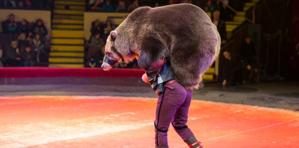 Russian Circus