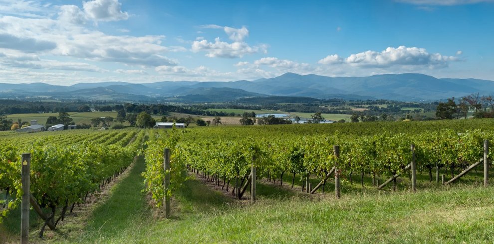 Yarra Valley Wineries