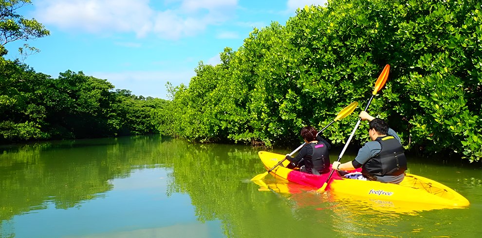 canoe tour