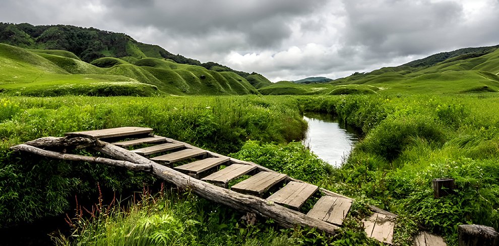 Dzükou Valley