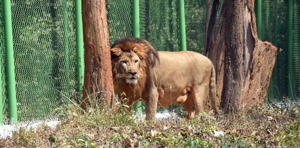 Ranchi Zoo