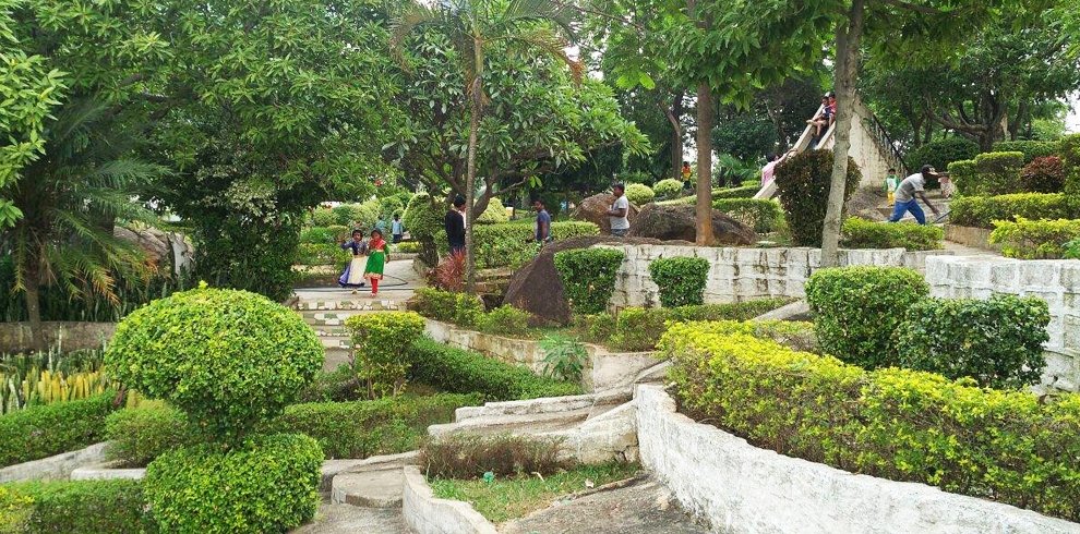 Rock Garden