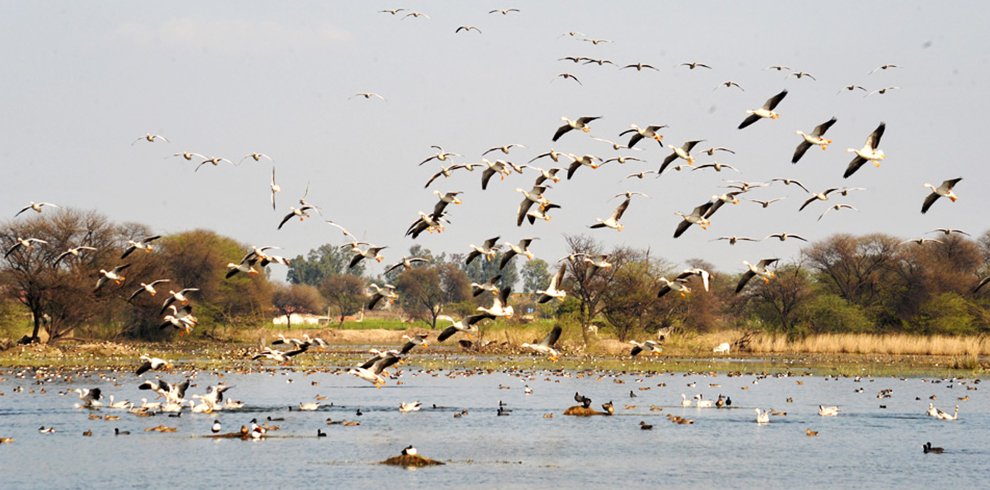 Sultanpur National Park